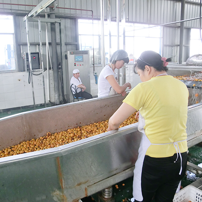 Fruit juice beverage production line