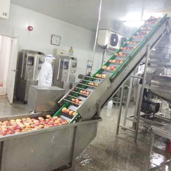 Juice beverage production line