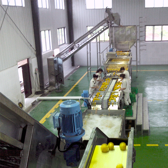 Juice beverage production line