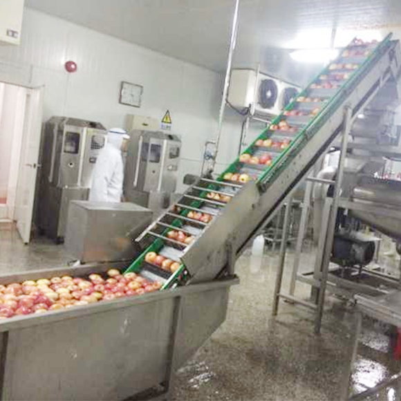 HPP apple juice production line