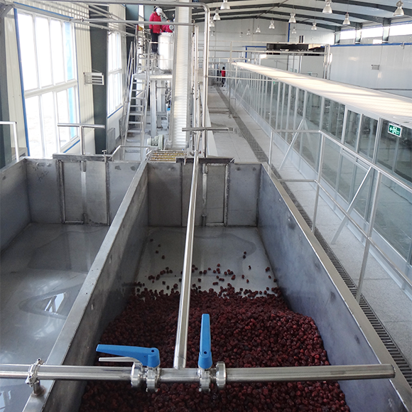 Concentrated red date juice production line