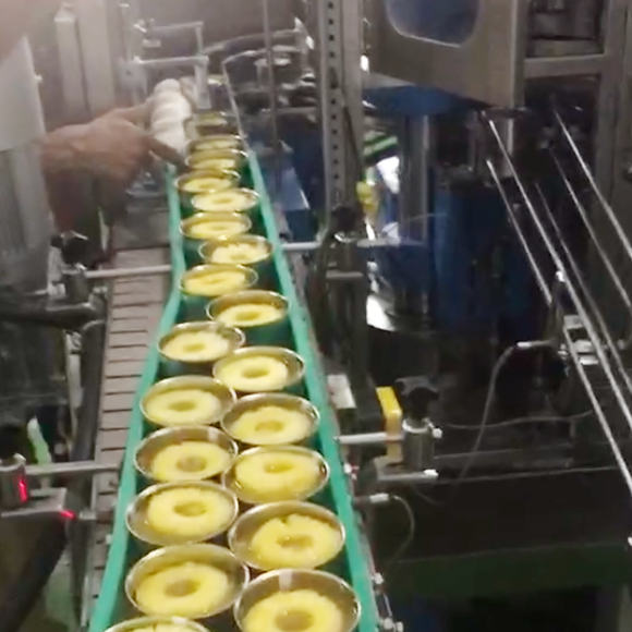 Canned pineapple production line