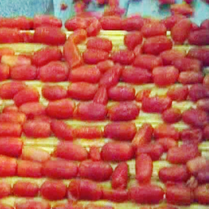 Peeled whole canned tomato production line