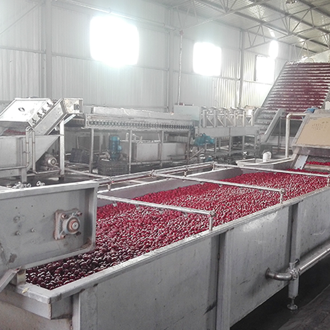 Concentrated grape juice production line