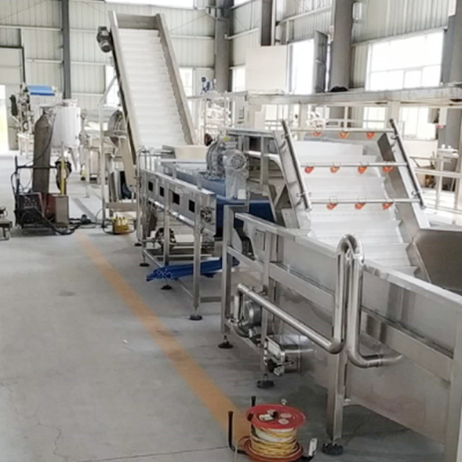 Pumpkin and carrot paste production line